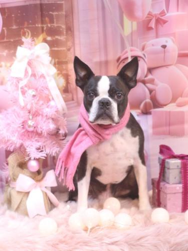 20241230ＡＤくん